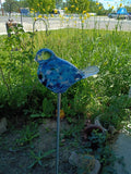 Garden Birdies! Blue Bird