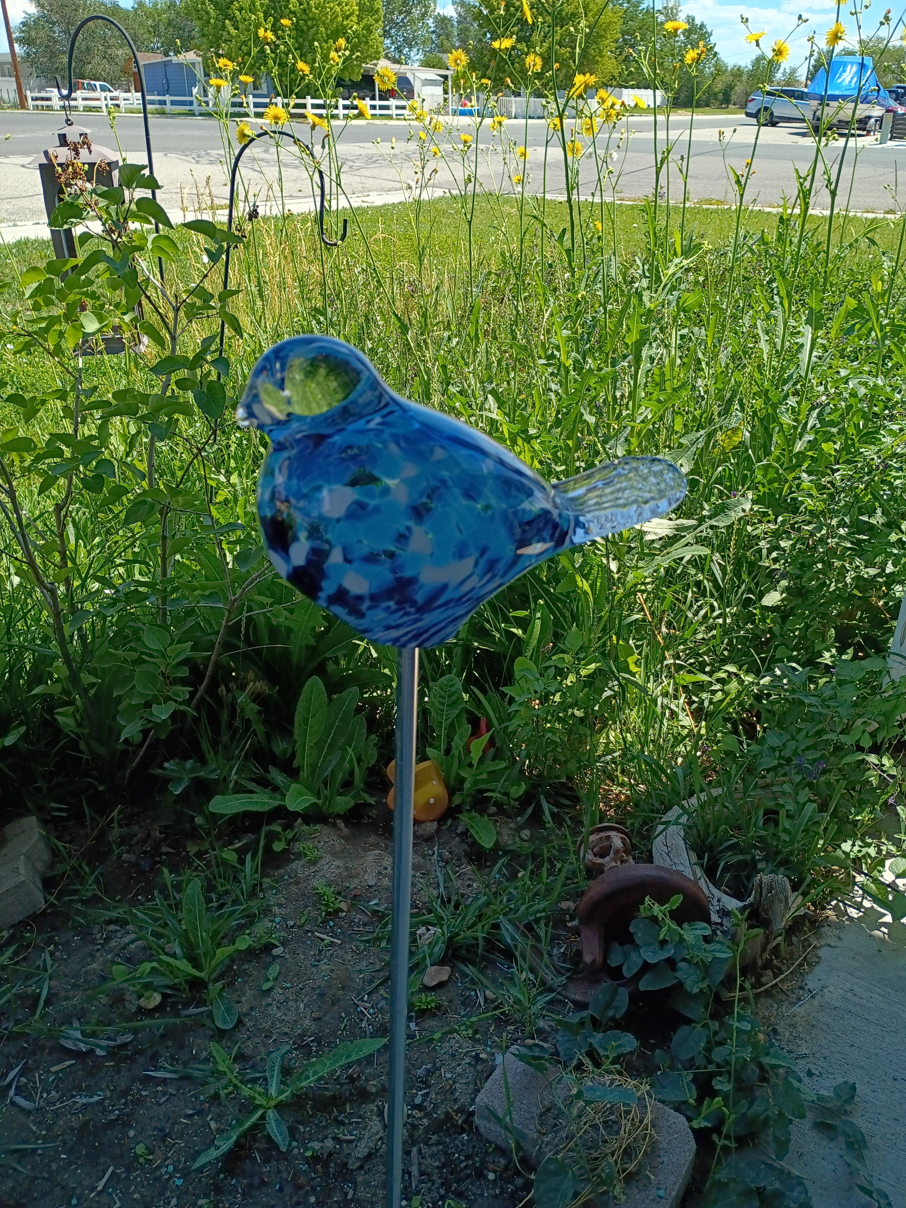 Garden Birdies! Blue Bird