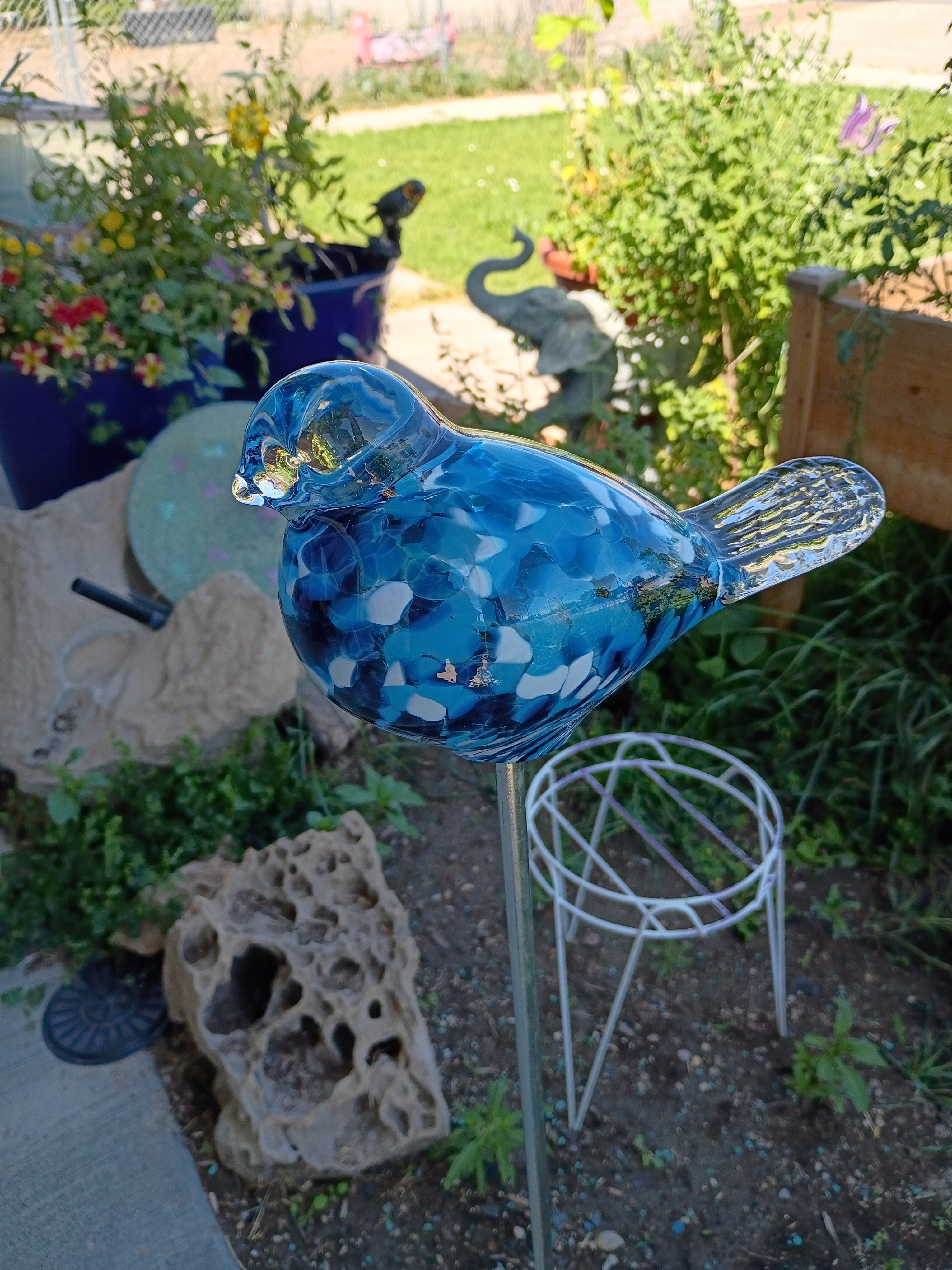 Garden Birdies! Blue Bird