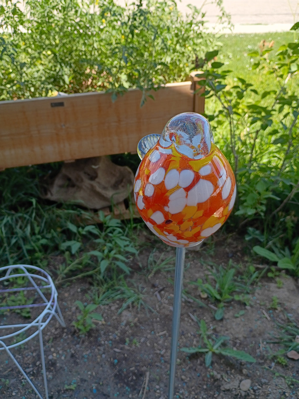 Garden Birdies! Orange, White, Yellow