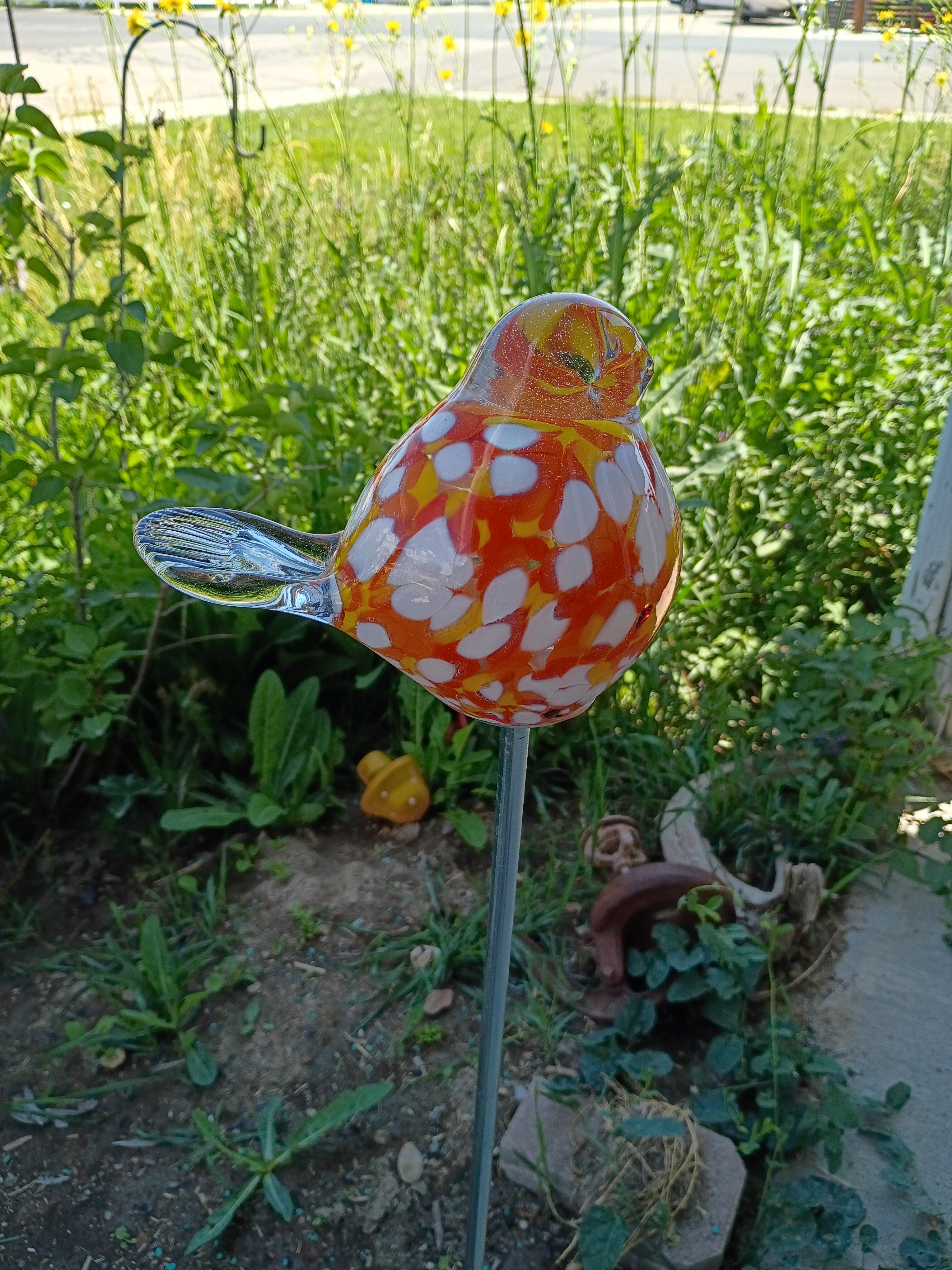 Garden Birdies! Orange, White, Yellow
