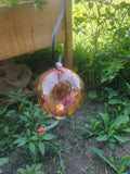 Hummingbird Feeder "MERIGOLD"