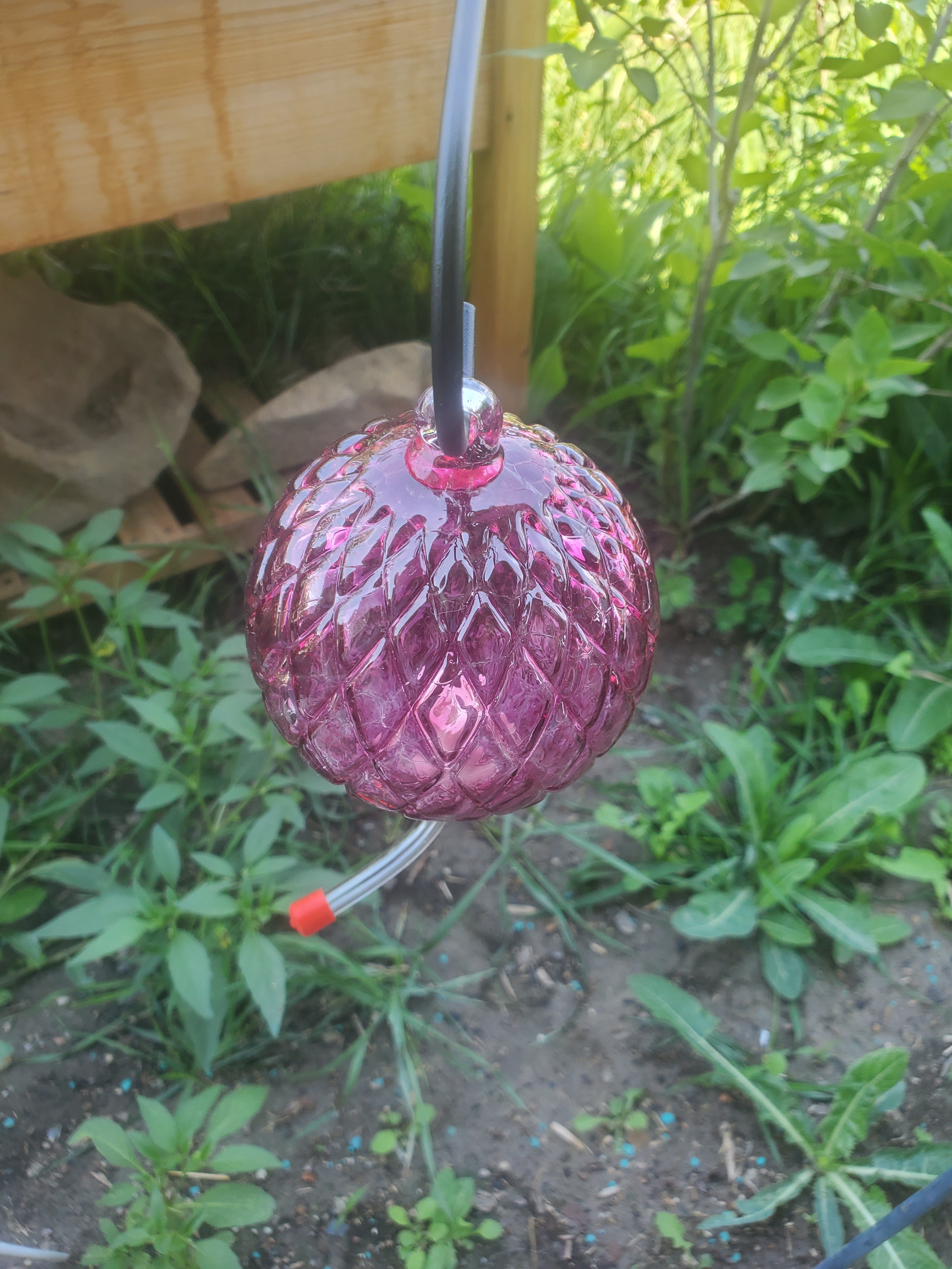 Hummingbird Feeder "PINK" Diamond Optic Hyacinth