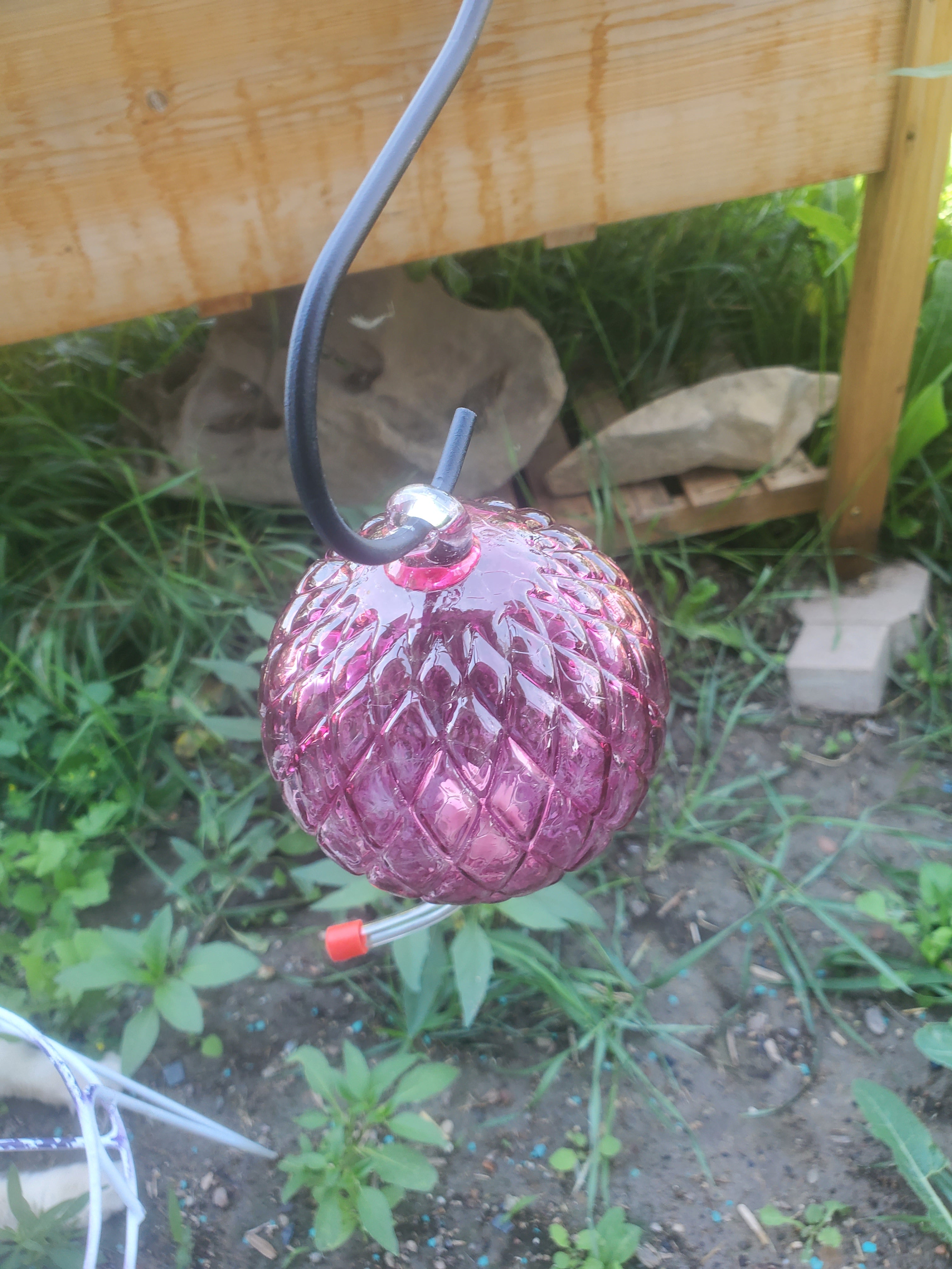 Hummingbird Feeder "PINK" Diamond Optic Hyacinth
