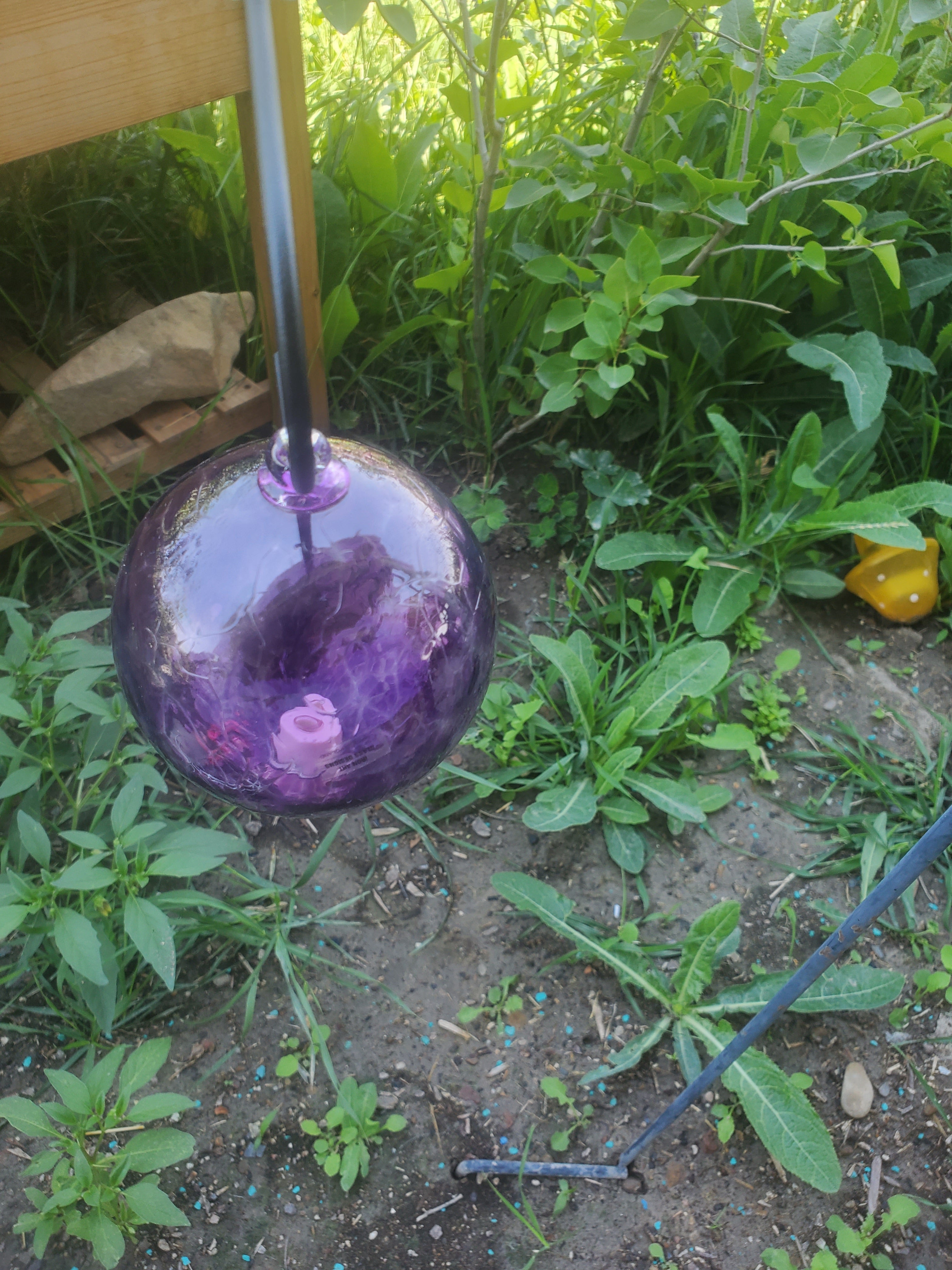 Hummingbird Feeder "PURPLE"
