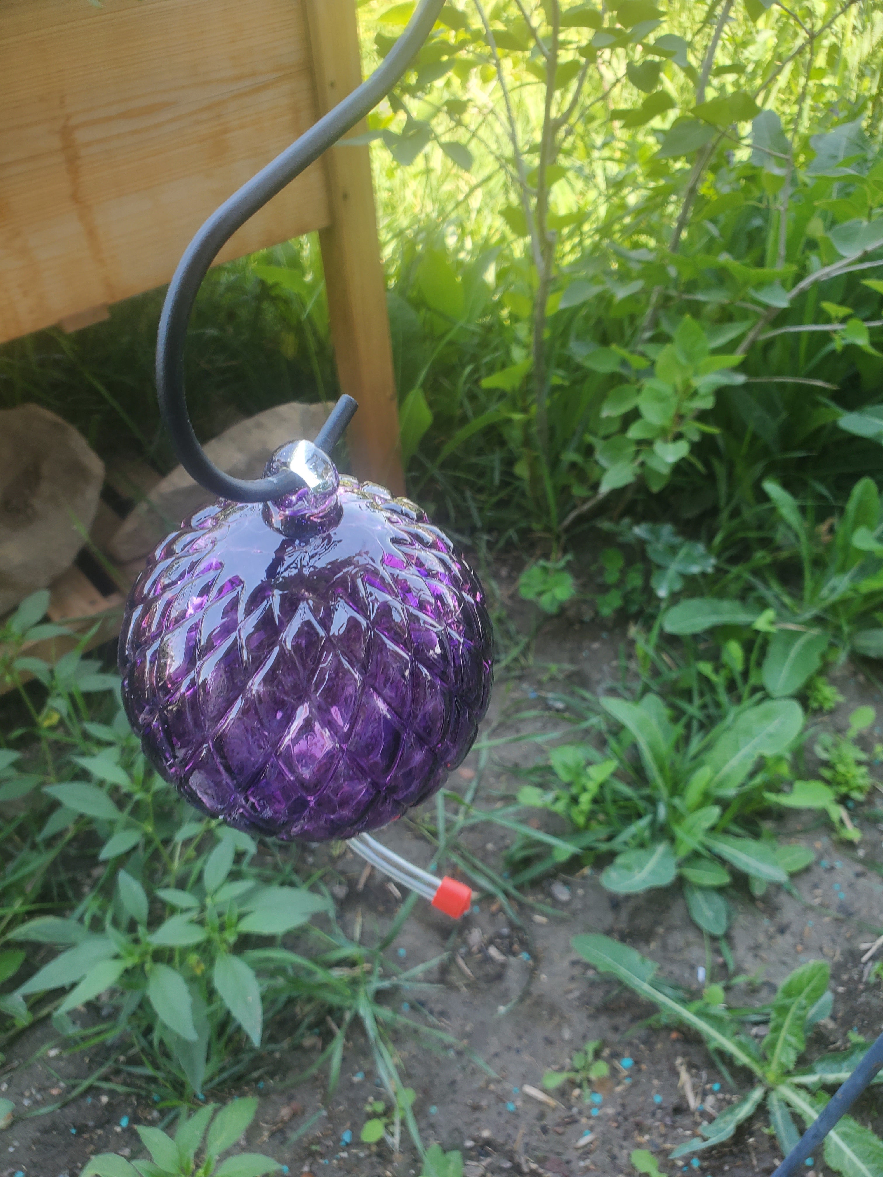 Hummingbird Feeder "PURPLE"  Diamond Optic Hyacinth
